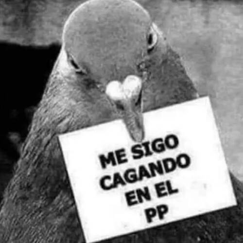 Foto extra 7