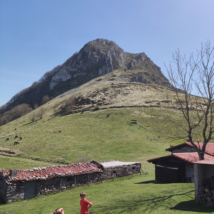 Txabbi