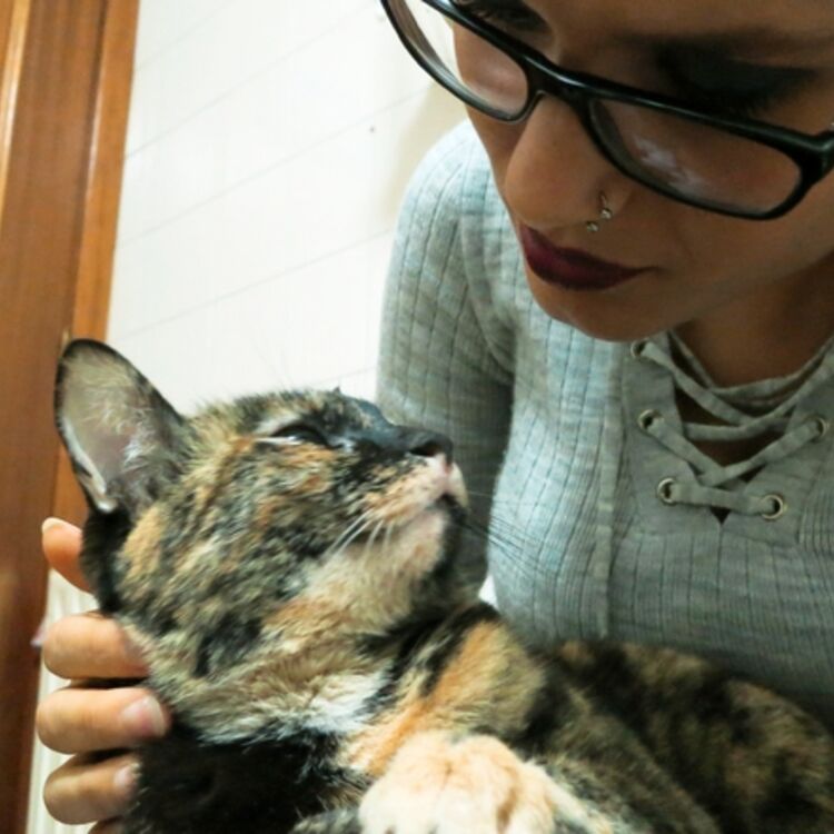 Yosi