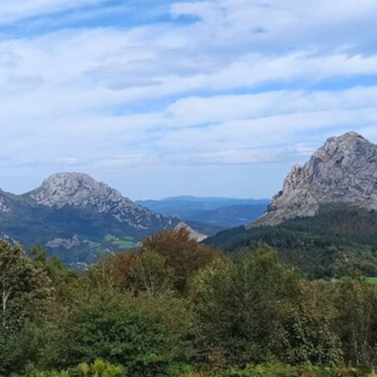 rosi