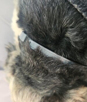 Maximo