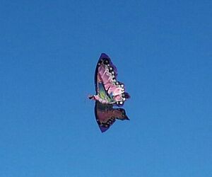 libra 68