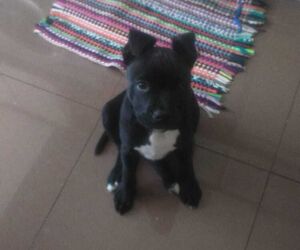 Sofí­a