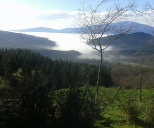 tximeleta