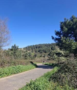 Gontzal