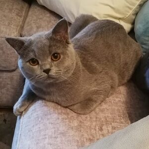 Charlie
