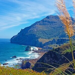 Lamisma