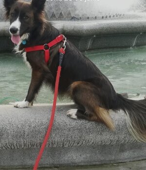 Jesica