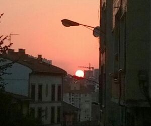 Janire