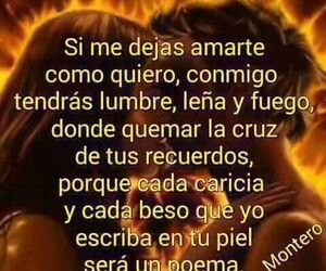 Pilar Larios R