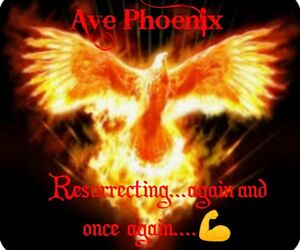 ave phoenix