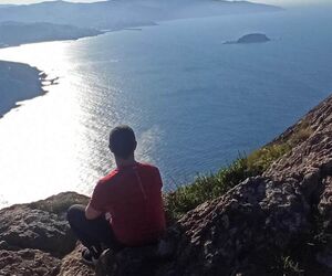 Ander