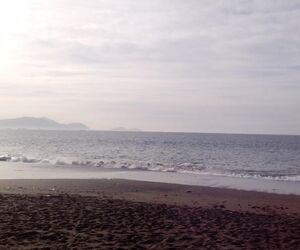 Sereia