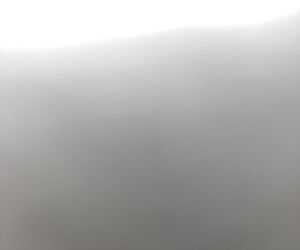 iani