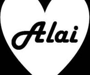 Alai