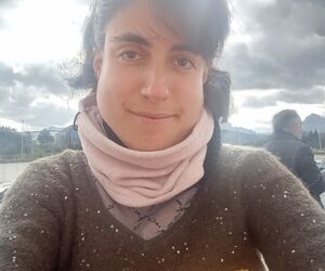 Leire
