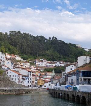 Cristi