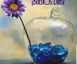 Lorea