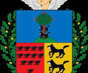Vega