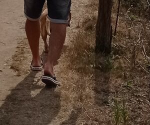 Aitor
