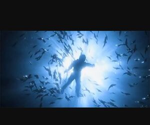 LifeAquatic