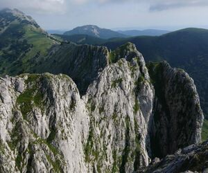 VALNERA