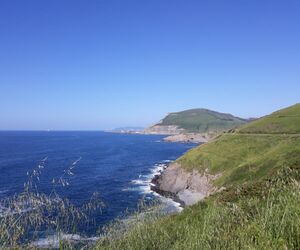 Izarra
