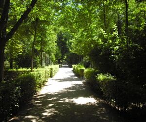 Ayala