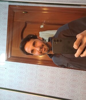 david