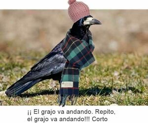 Ana