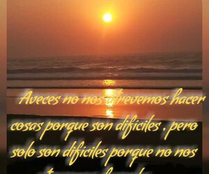 Andoni