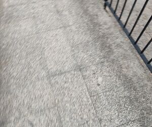 Goiko
