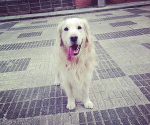 Susana