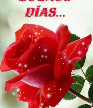 Maria Jose