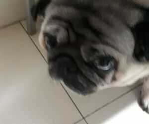 sandra28txu