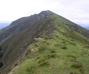 Ganeko