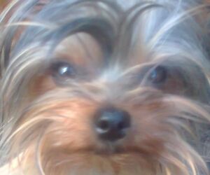 Jose Manuel
