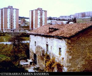 Matzorri