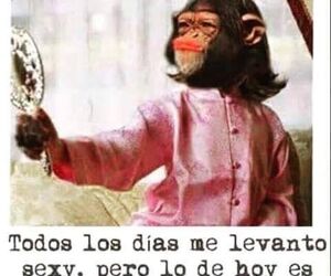 Nerea