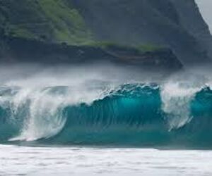 SurfBel