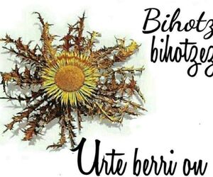 Mar?a Izas