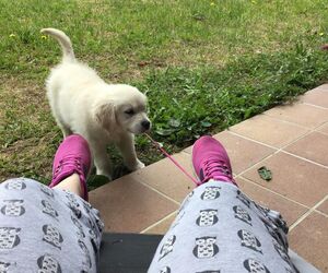 Itzi