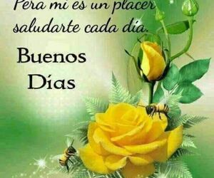 ELSA MORENO PA
