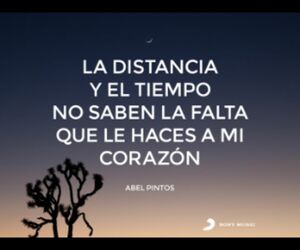 alberto