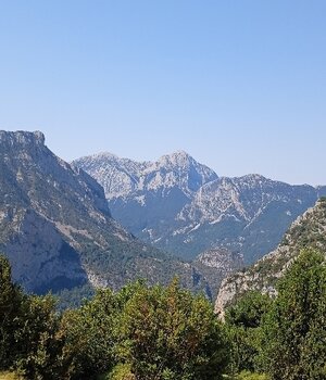 Miren