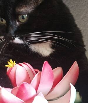 Olga