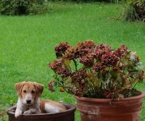 Leire