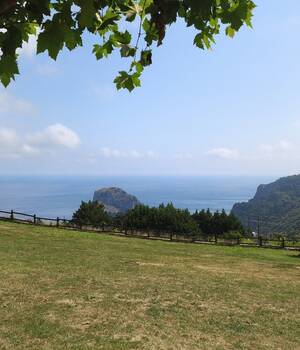 Amaiur