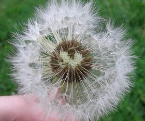 O