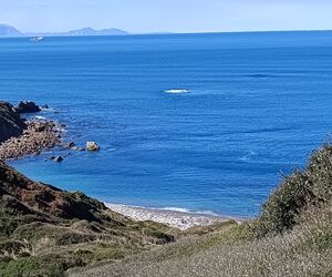 Lorelolero